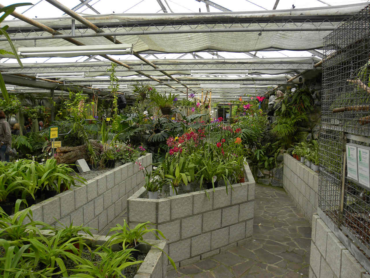 Orchideen Garten im Odenwald