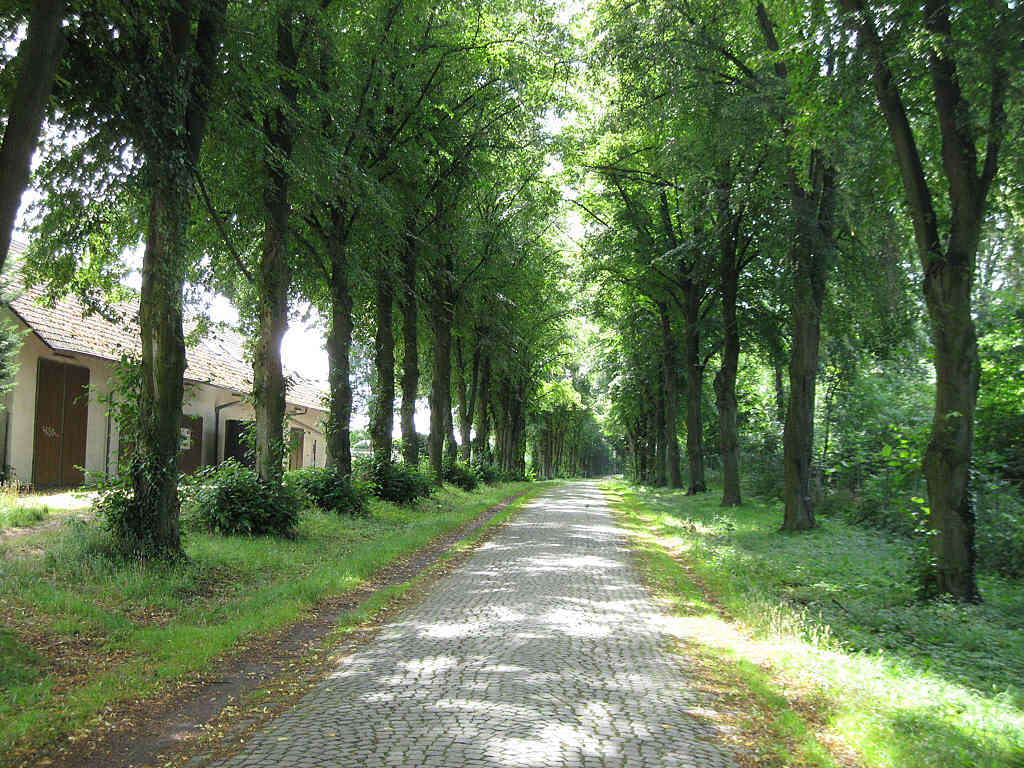 Wasserwerkallee in Ohkriftel Wasserwerkallee in Ohkriftel